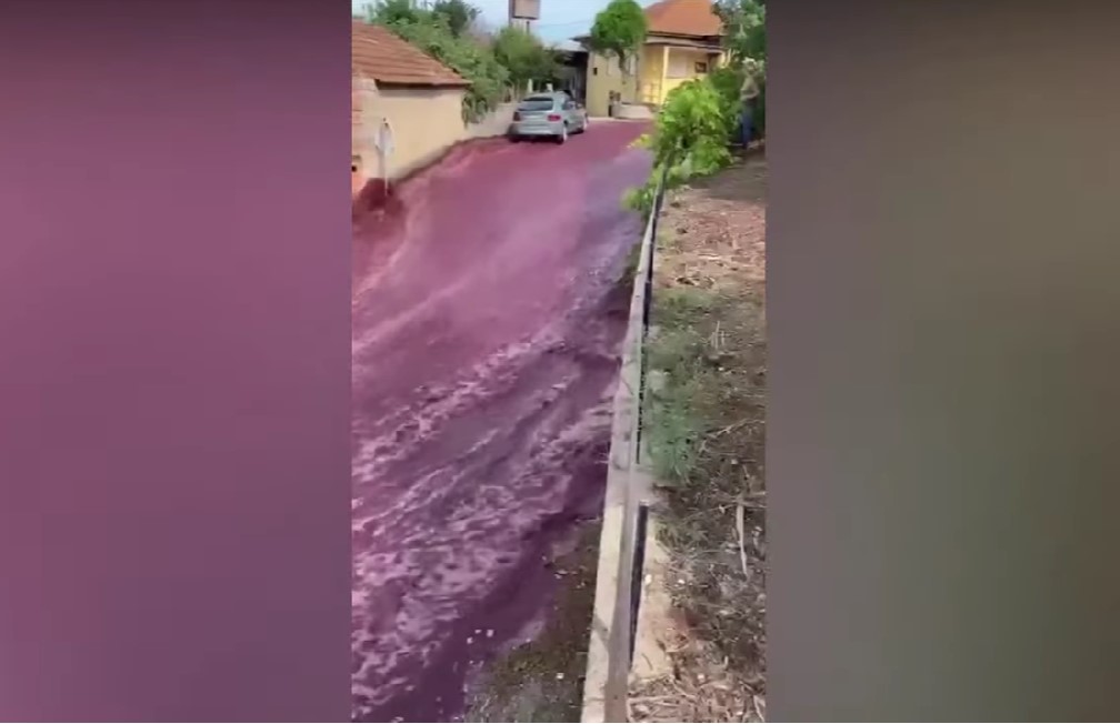 ВИДЕО: Река вино течеше низ улиците, снимки од Португалија го обиколија светот, никој не знае што се случило!