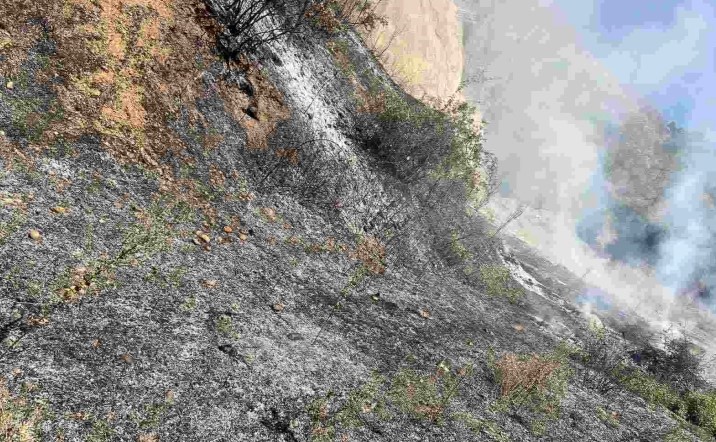 Дебарските пожарникари гаснеа пожар во погранично албанско село