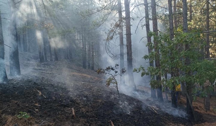 Локализиран е пожарот што го зафати атарот на делчевското село Бигла