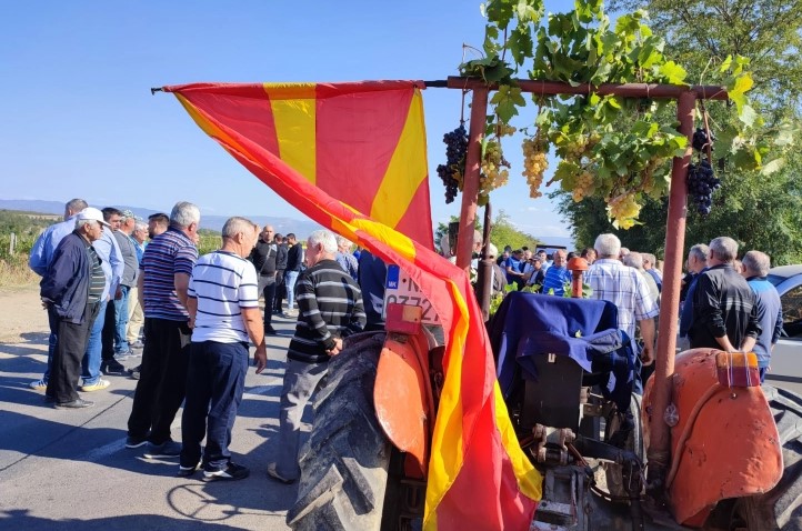 Лозари го блокираа патот Кавадарци – Неготино, бараат подобри услови за лозаропроизводство