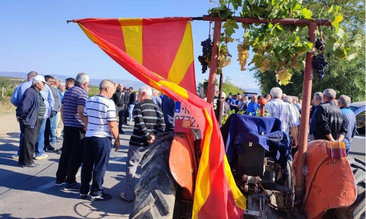 Лозари го блокираа патот Кавадарци – Неготино, бараат подобри услови за лозаропроизводство
