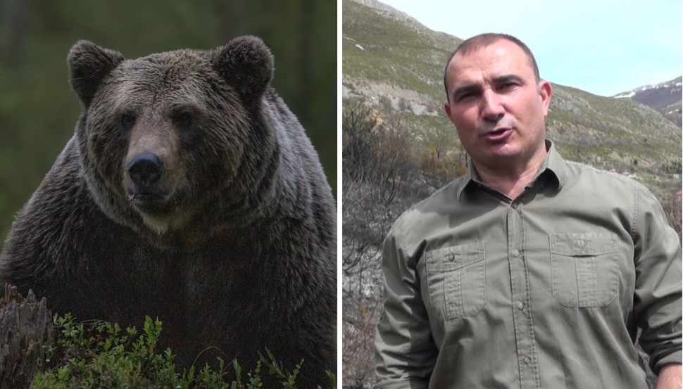 Граѓани бараат Ангелов да им даде мечиња за во двор, тој порача: Ако имате голем мерак, купете си кадифени!