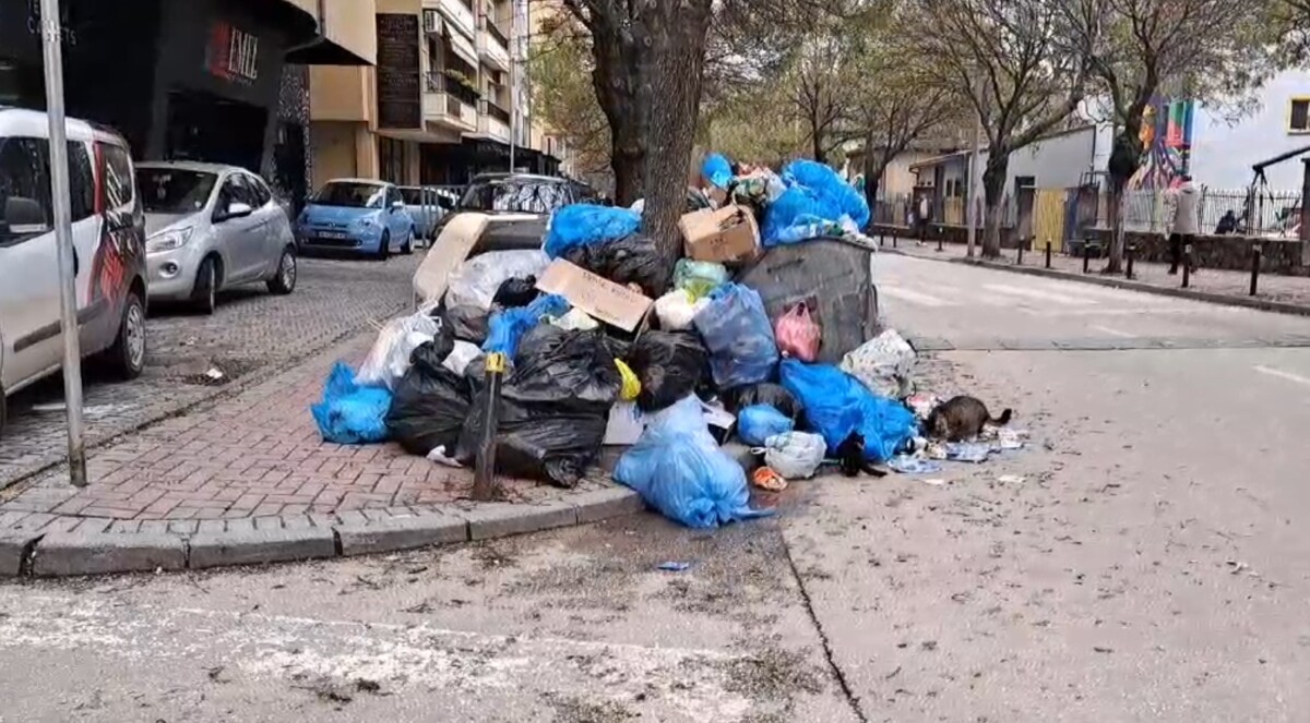 УЖАС: Ѓубре низ улиците на Тетово, создадени депонии!