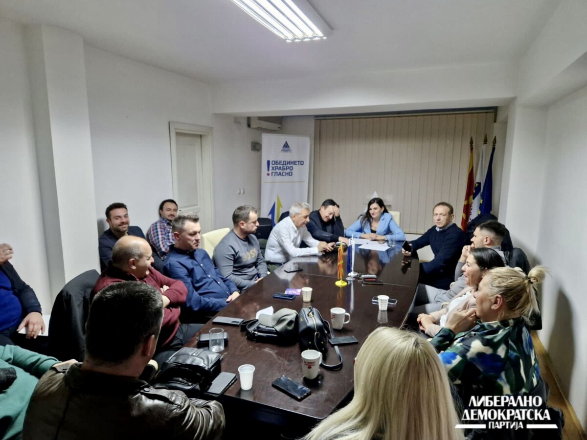 ЛДП: Врвен приоритет останува брзото присоединување кон ЕУ
