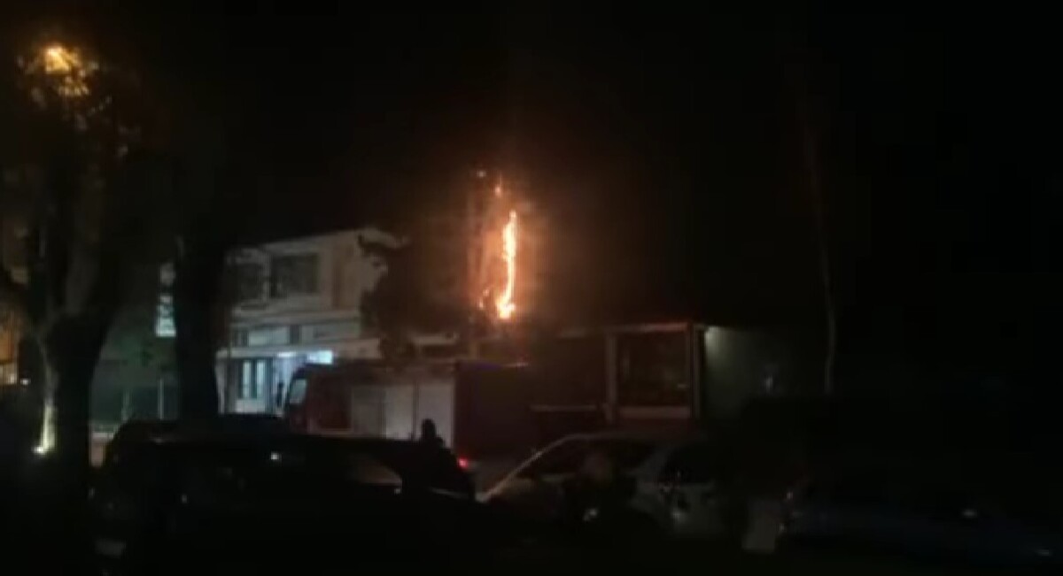 ВИДЕО: Деца го запалија дрвото пред Музеј на тетовски крај (Дом АРМ) во Тетово