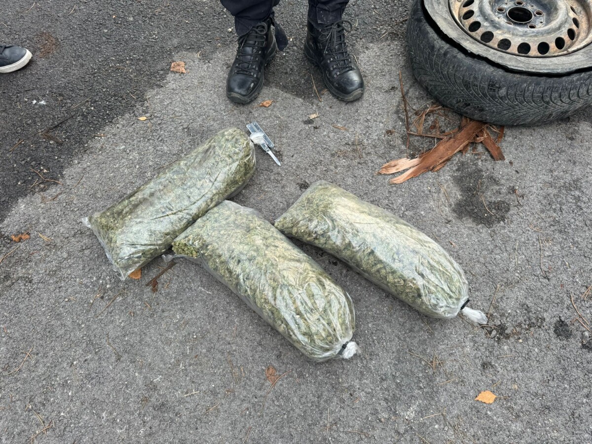 Приведени двајца албански државјани при транспорт на дрога во вредност од околу 10 илјади евра