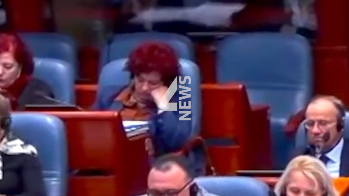 ВИДЕО: Попладневна дремка во Собрание