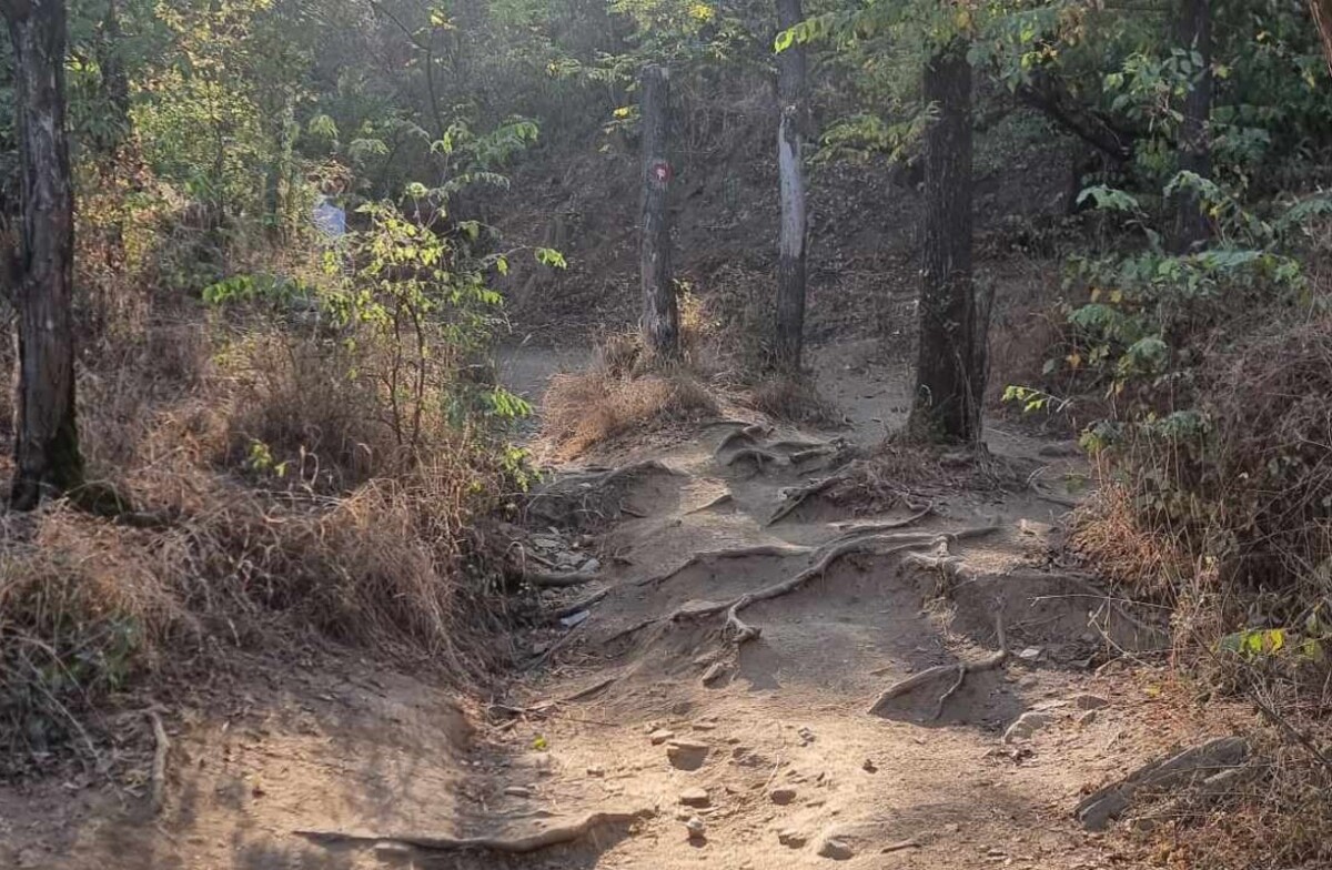 Пронајдено лице пријавено за изгубено на Водно