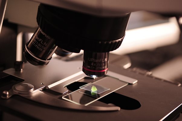 Микропластиката беше пронајдена во секоја човечка плацента испитана во една студија