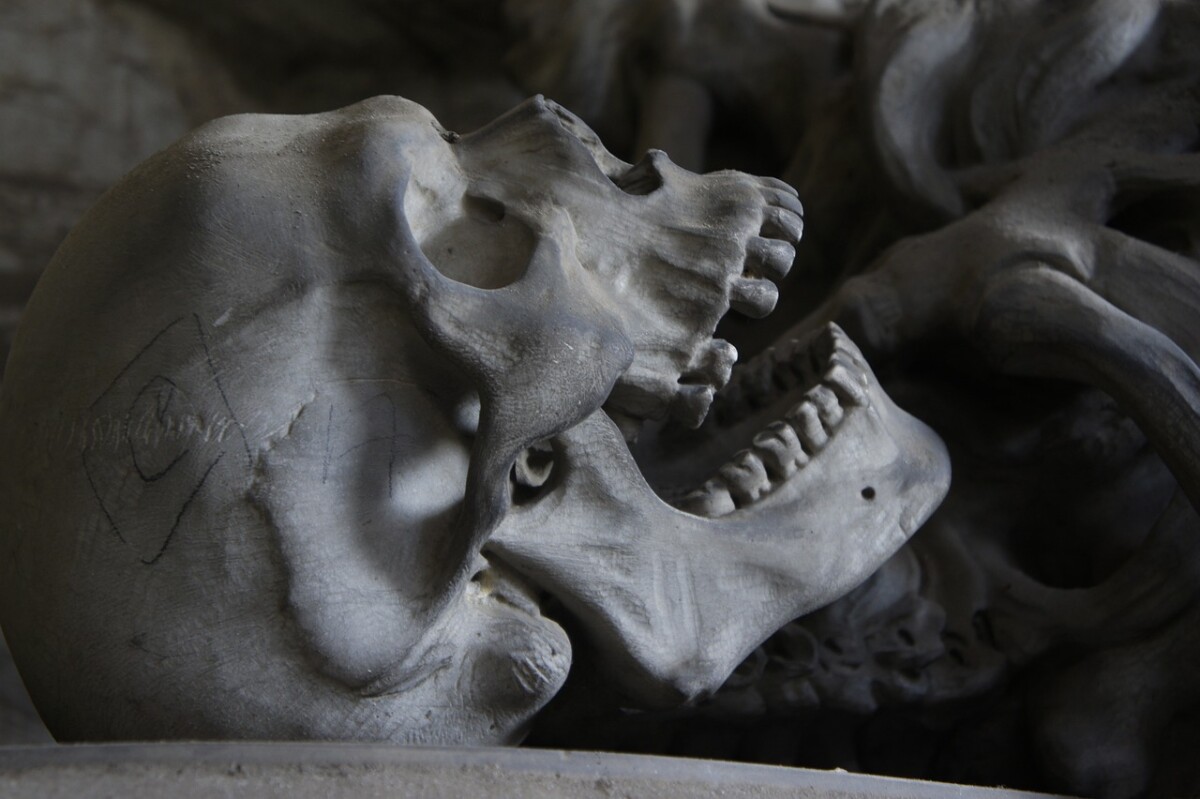 Коските пронајдени во Германија ја менуваат историјата на човечкиот род?