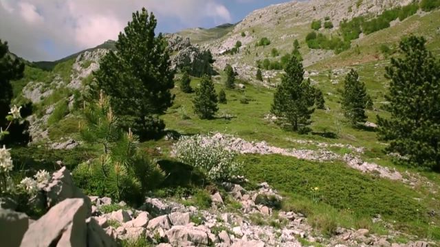 Забрана за движење во шумите до крајот на август, за прекршителите казна до 2.000 евра