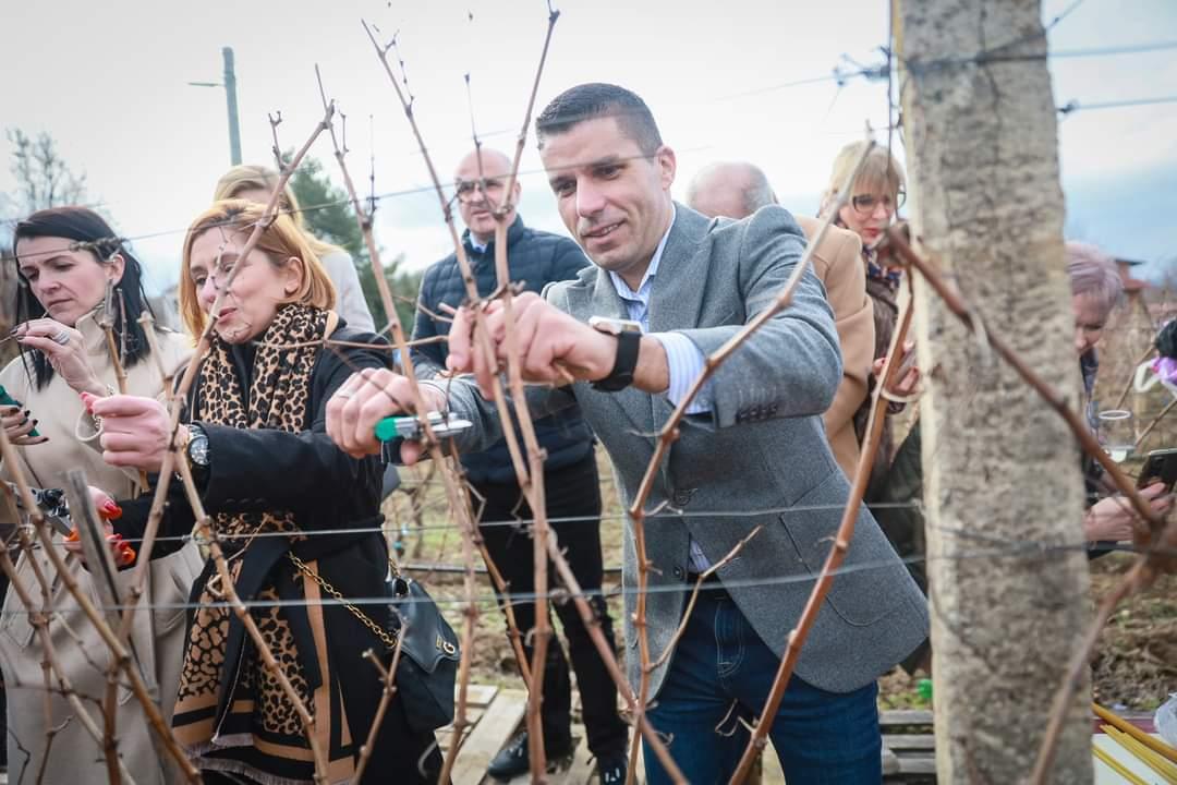 Николовски од закројувањето на лозјата во Марена: Во секторот лозарство и винарство никогаш не било подобро!