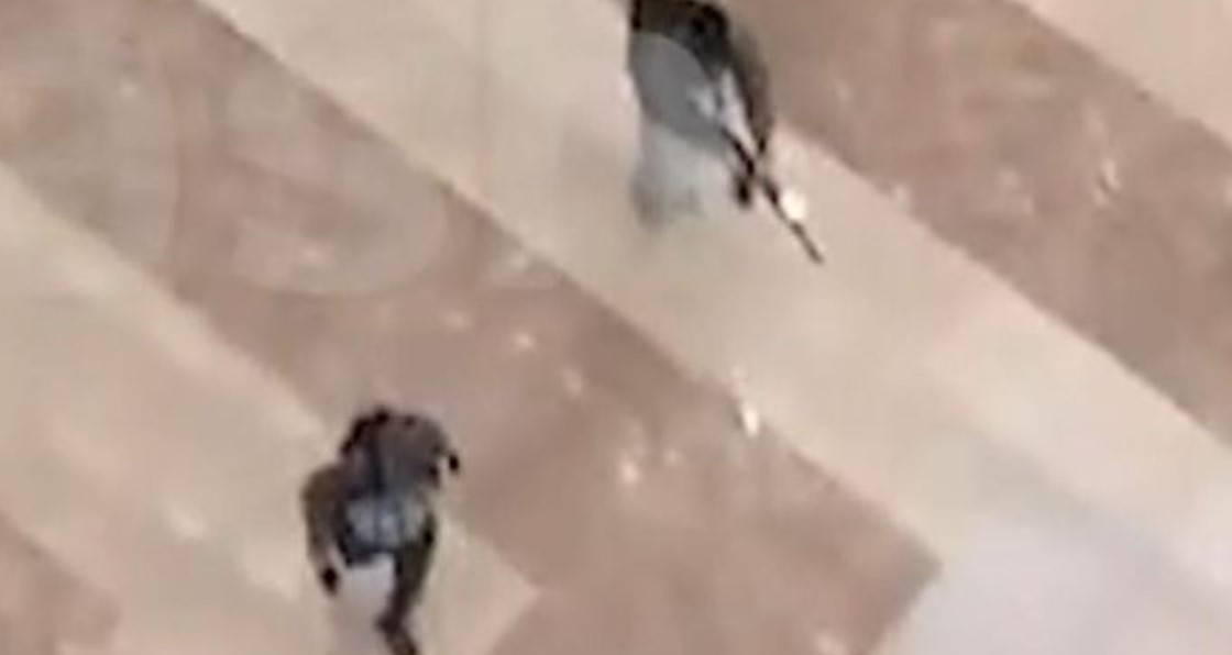 ВИДЕО ИСИС објави видео од концертната сала