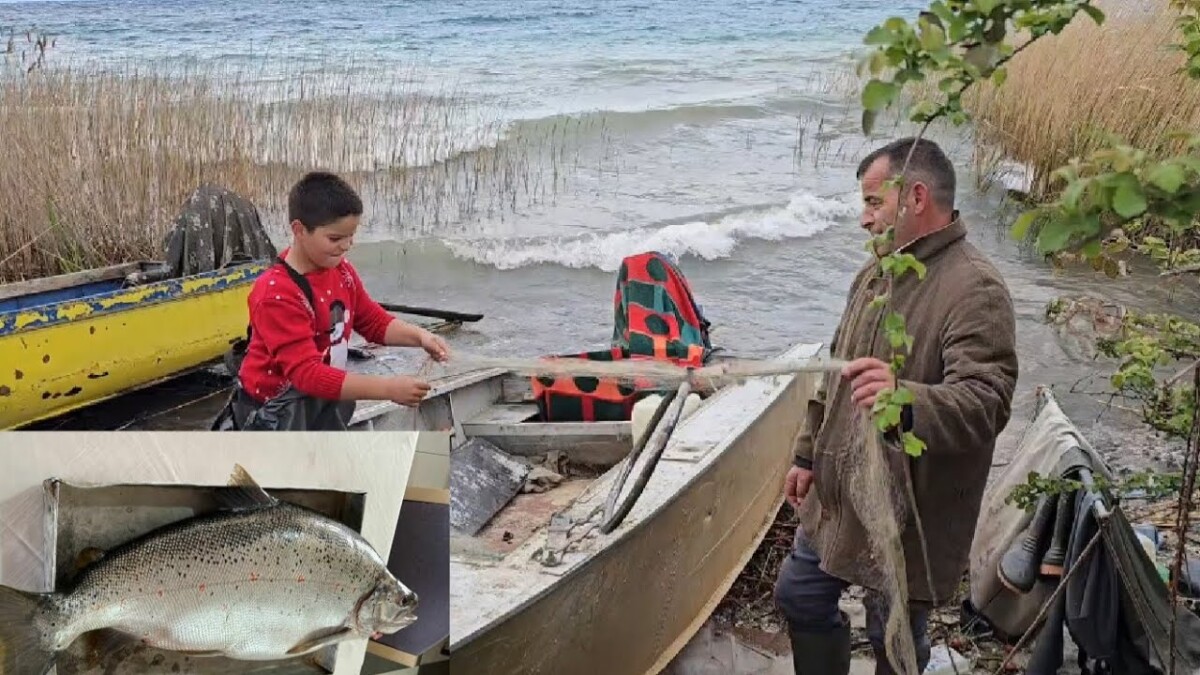 ВИДЕО Рибар на Охридското Езеро улови коран тежок 13,2 килограми