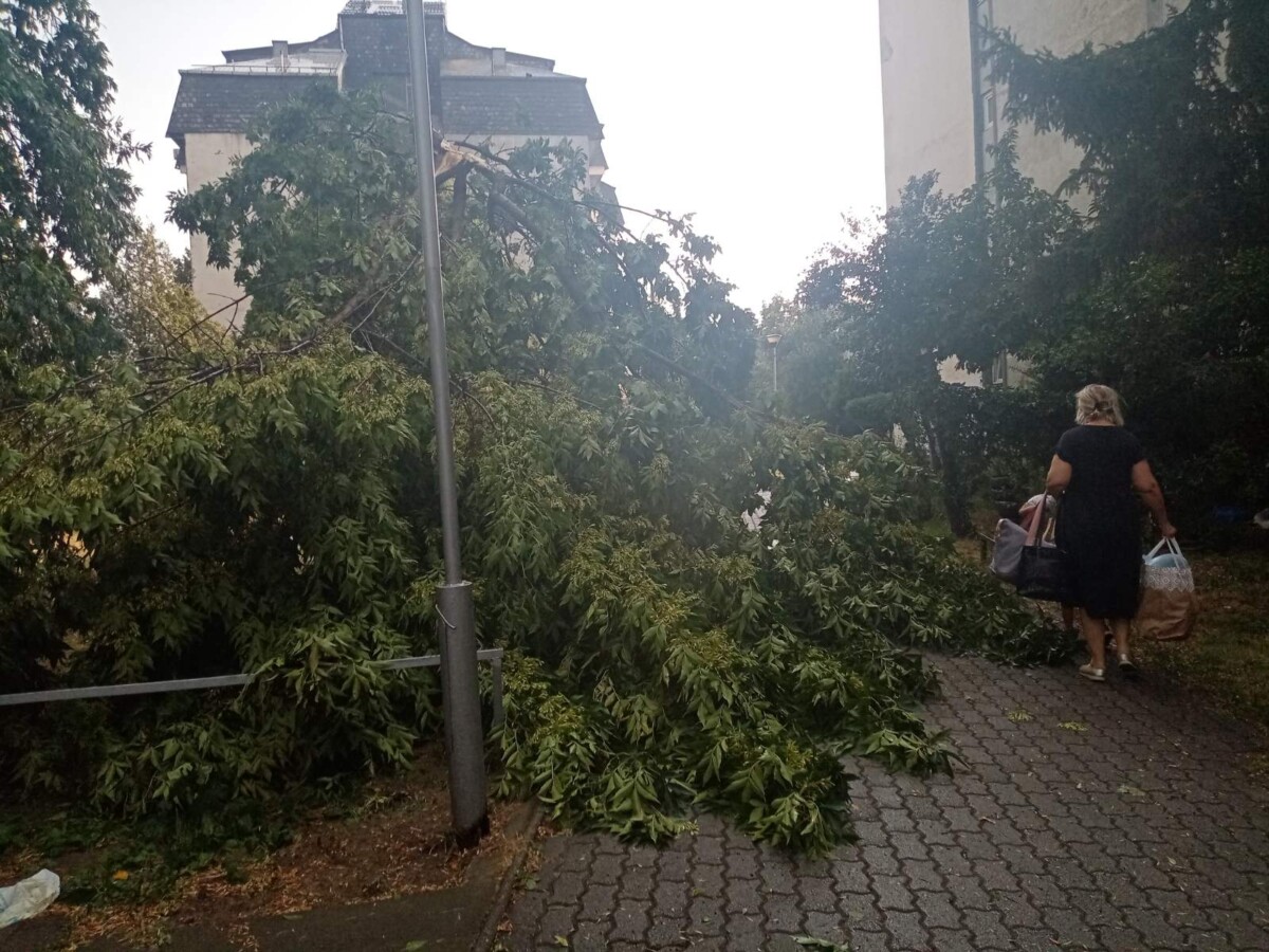 ВИДЕО: Попладнево кратко невреме го зафати Скопје