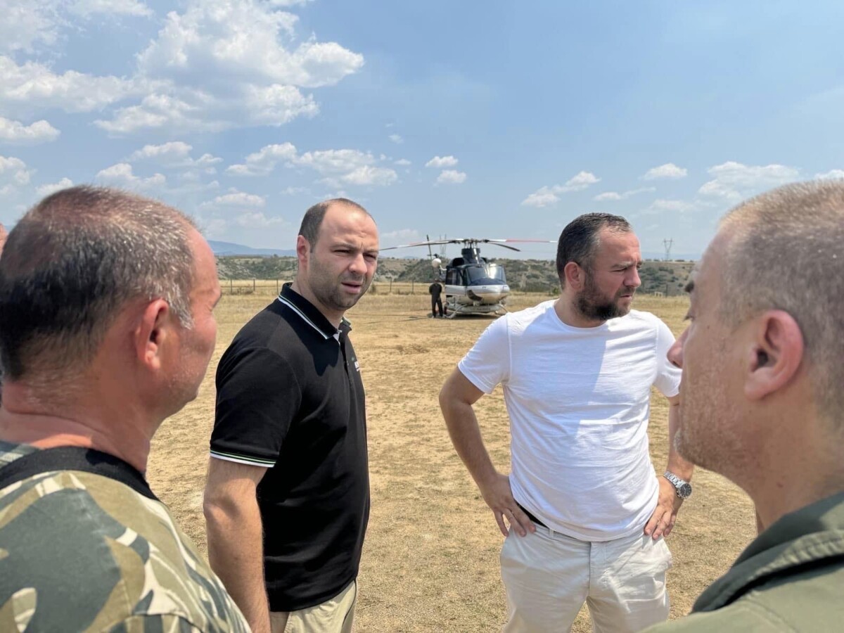 Тошковски: Со здружени напори и координација правиме се за гасење на пожарот во неготинско