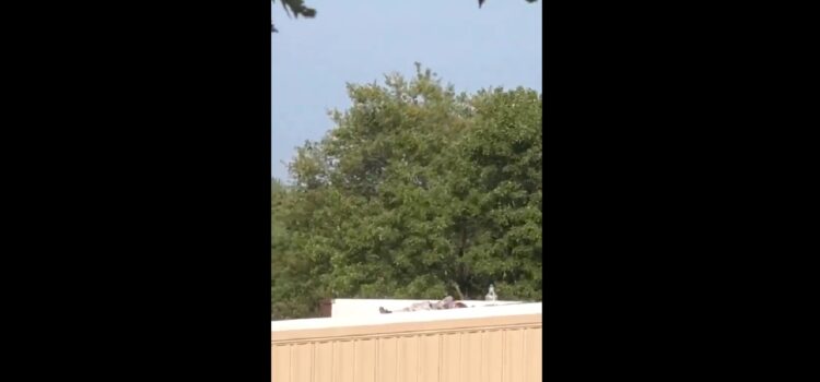 ВИДЕО: Сите го видоа со пушка на покривот и никој не реагираше, се појави видео од атентатот на Трамп