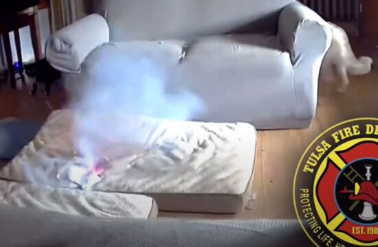 ВИДЕО Неверојатно како куче предизвика пожар во САД