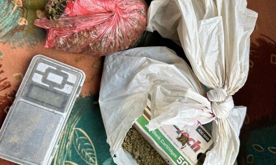 Пронајдени дрога и пиштол во тетовско, приведени четири лица меѓу кои две малолетни