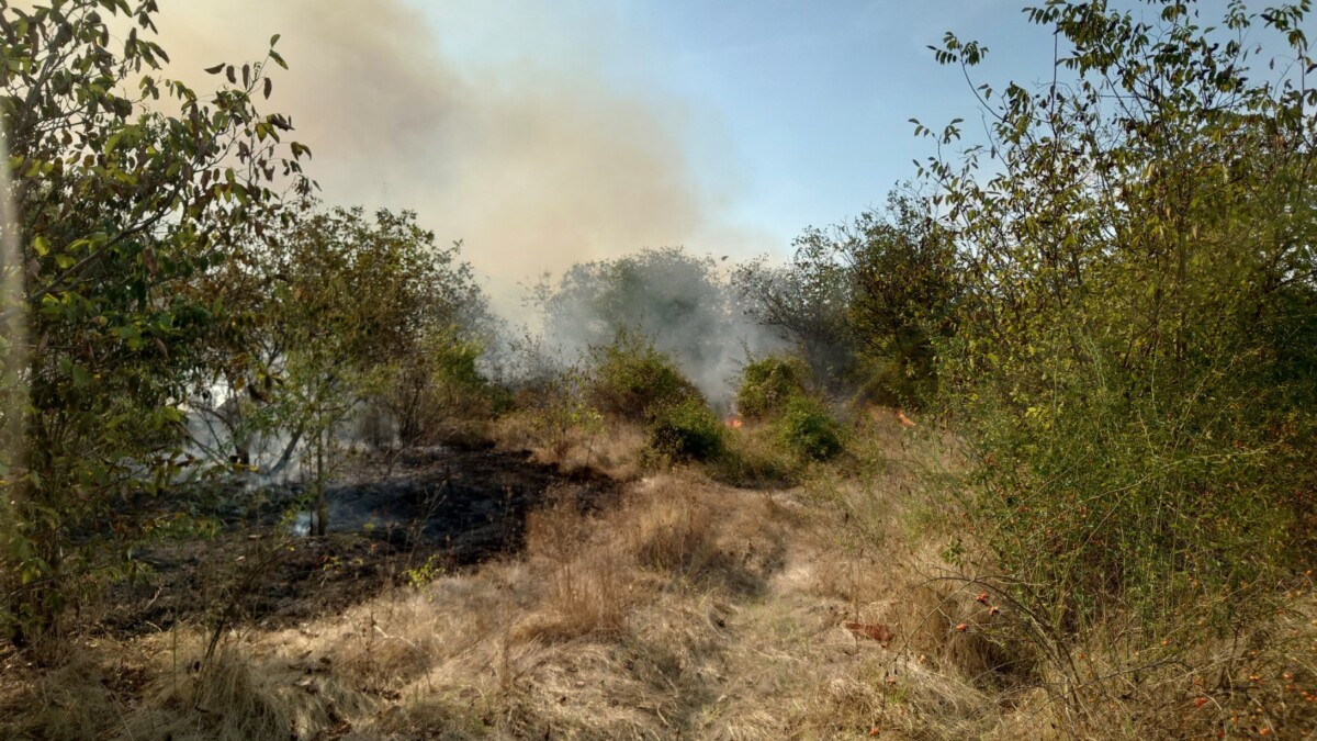 Повторно се појавија пламени јазици во скопската населба Кисела Вода кај Расадник