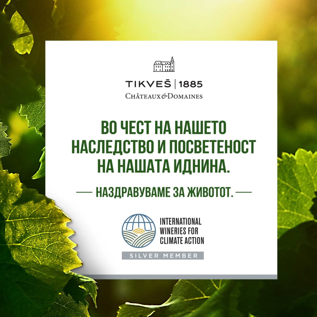 „Тиквеш“ заслужено доби повисок статус во групата водечки светски винарници за борба против климатските промени