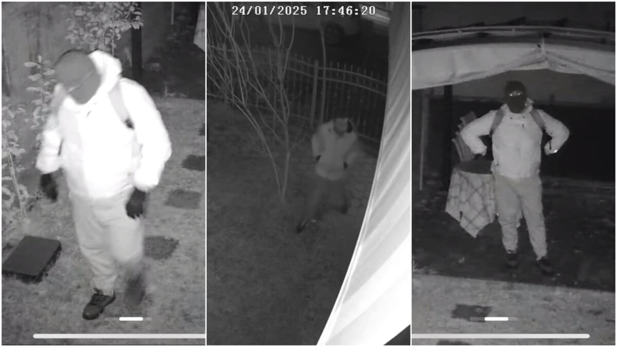 ВИДЕО Крадци хараат низ скопските населби: Видео снимки од читатели пристигнаа до нашата редакција