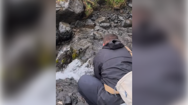ВИДЕО Се напил вода од изворот, а потоа видел нешто што долго ќе го прогонува