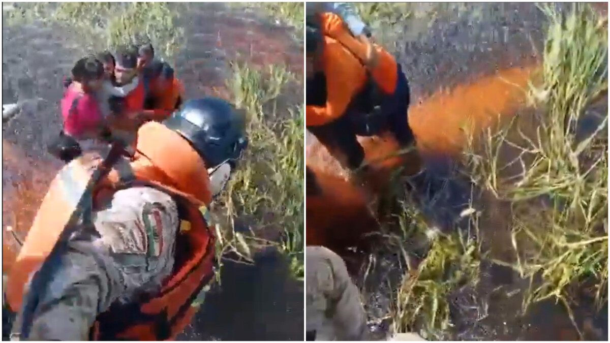 ВИДЕО Патници во авион преживеале 36 часа на крило опкружени со алигатори