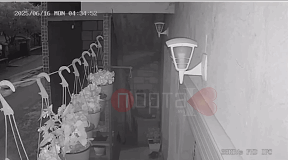 ВИДЕО Земјотресот утрово кај Охрид снимен од безбедносна камера