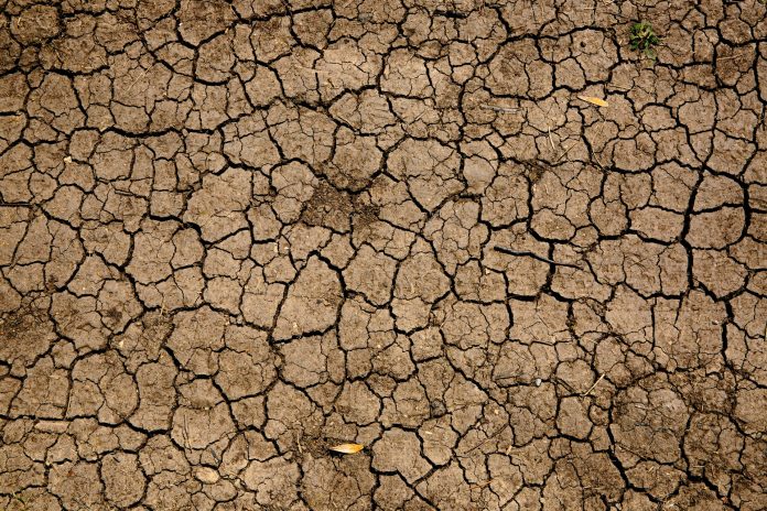 Екстремна суша во Романија – жителите без вода