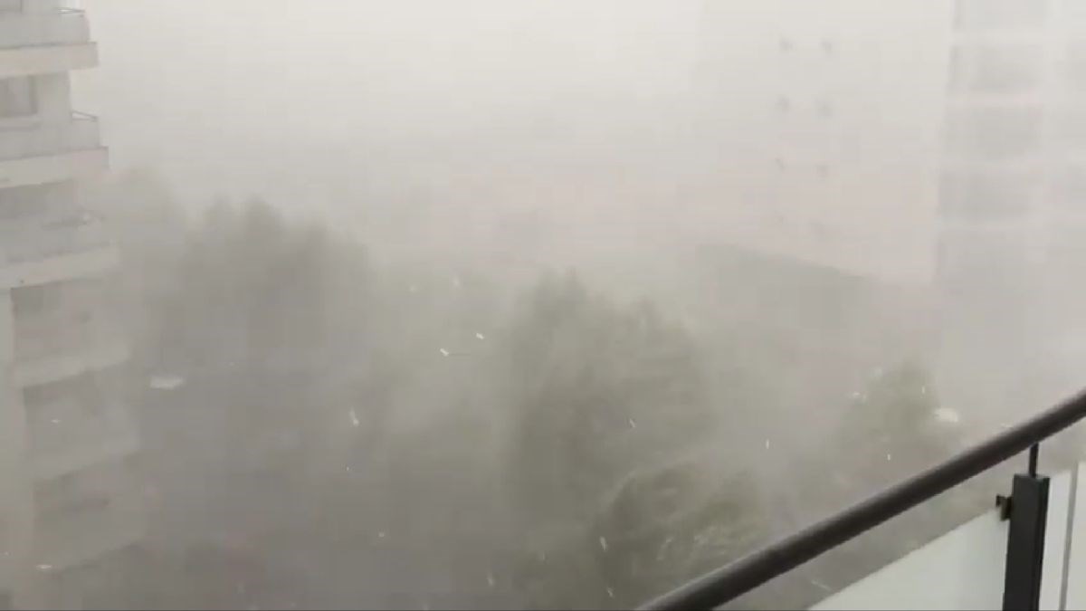 ВИДЕО Силна бура во Букурешт: Ветерот корнеше дрвја и покриви, жена загина