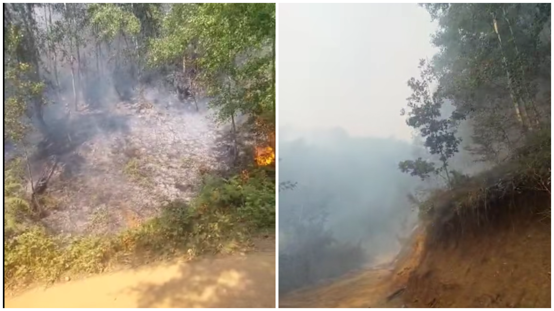 ВИДЕО Пожарот на планината Готен се поопасен, загрозени се викенд-куќи и населени места – потребна е итна помош