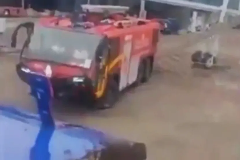 ВИДЕО ДРАМА ПРЕД ПОЛЕТУВАЊЕТО: Голем рој пчели го нападна авионот!