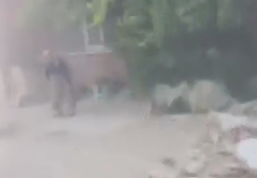 ВИДЕО Се појавија нови снимки од Турција, има и други урнати згради!