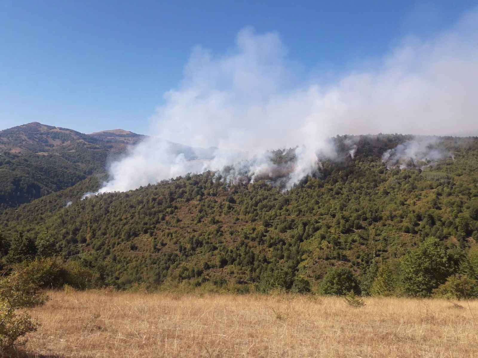 Шумата се уште гори: Пожар беснее во село Лукаре, на границата помеѓу Скопско и Кумановско