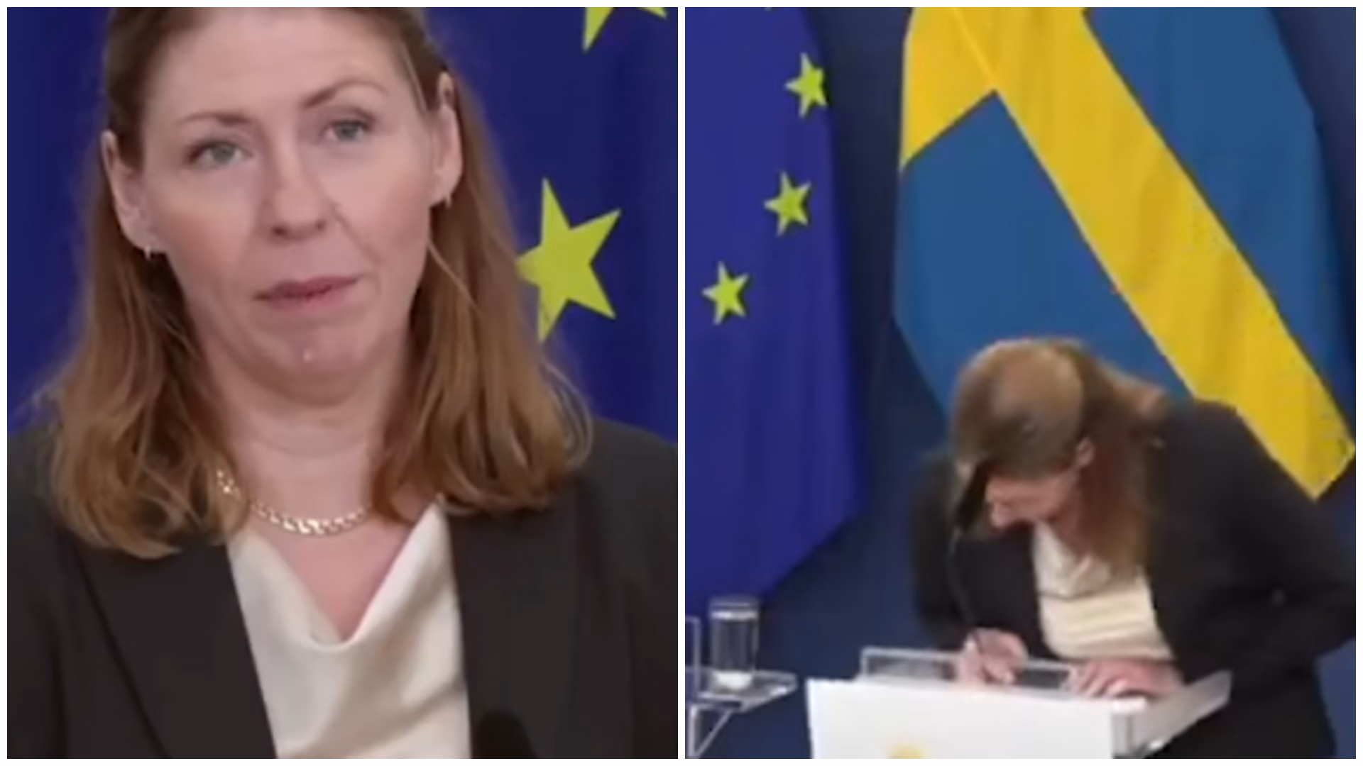 ВИДЕО Драматичен момент: Колабираше шведската министерка за здравство за време на прес-конференција