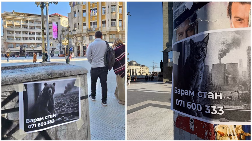 Еко-свест: Рис, лисица и мечка бараат станови низ Скопје