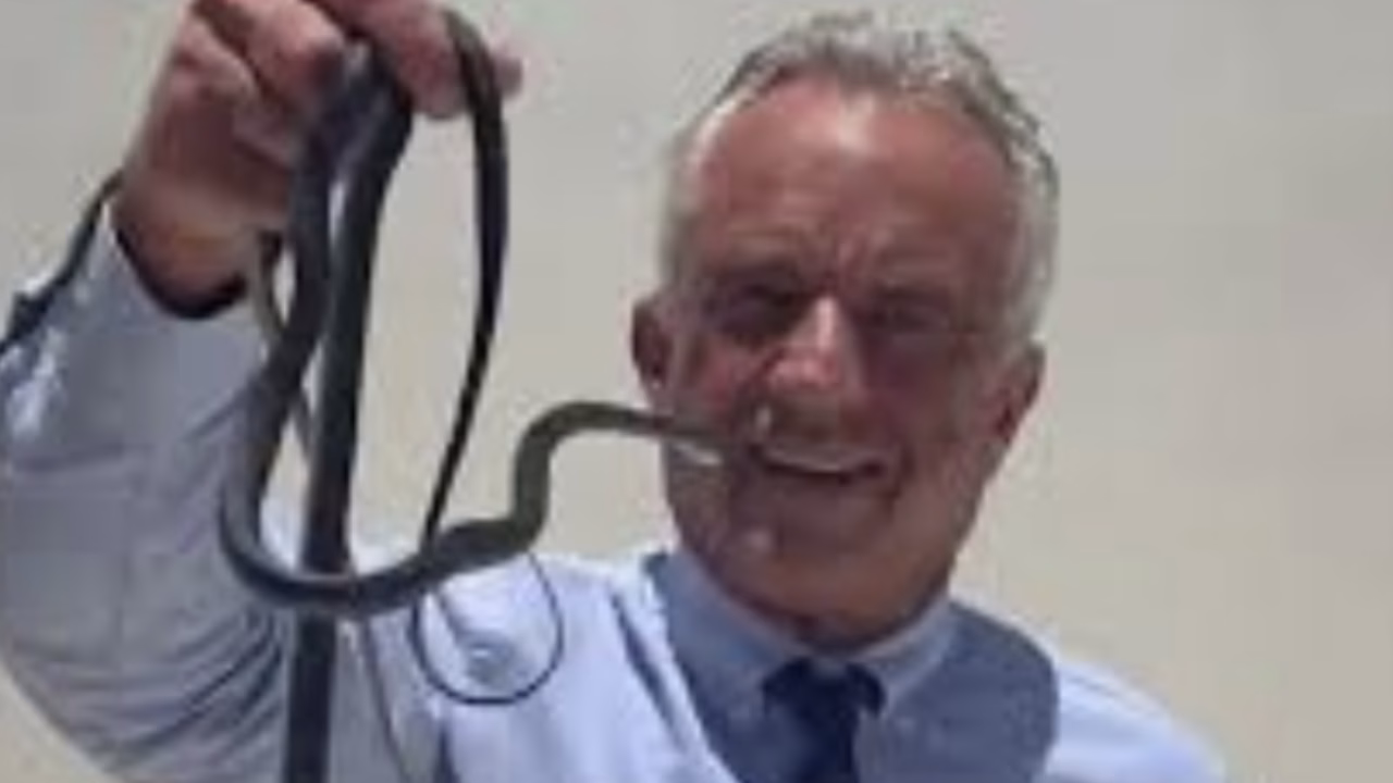 ВИДЕО Министерот на Трамп фаќа змии со голи раце
