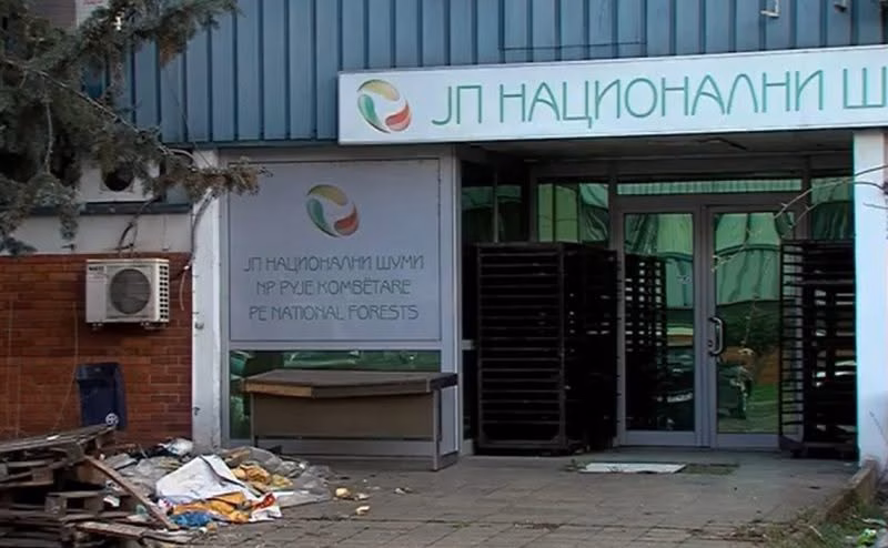 Кривична за поранешен директор на „Национални шуми“, продавал опожарено дрво по стари цени и направил штета од над 2 милиони денари