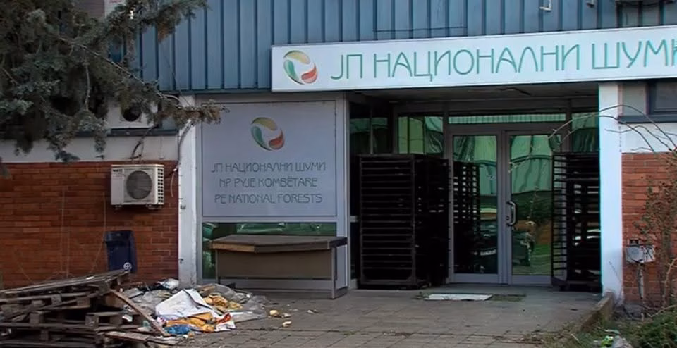 Кривична за поранешен директор на „Национални шуми“, продавал опожарено дрво по стари цени и направил штета од над 2 милиони денари