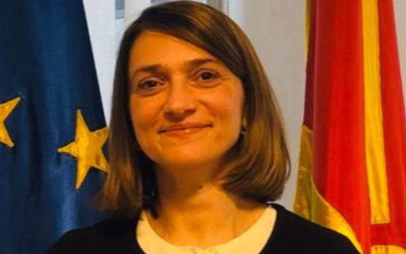 Македонската амбасадорка во Софија повикана на разговор по запалените возила во Скопје