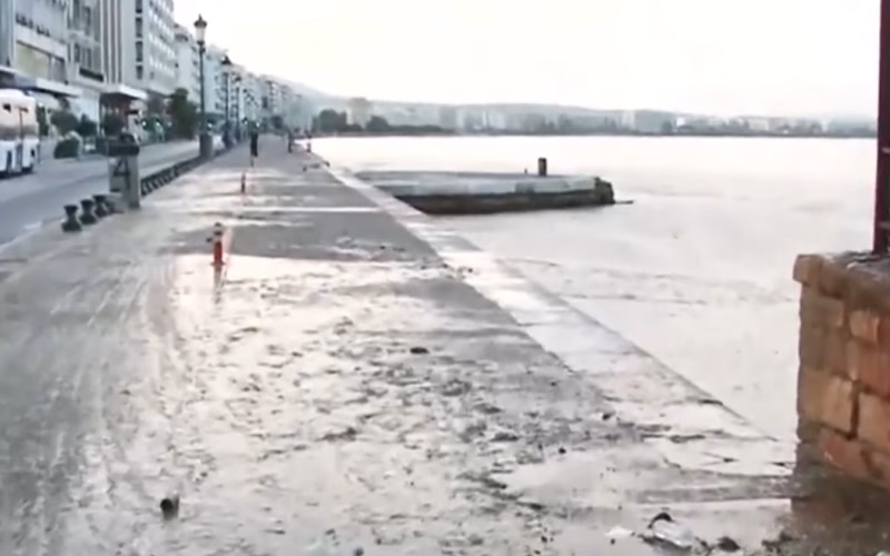 ВИДЕО Необична појава во Солун: Фитопланктонот „излезе“ на копно