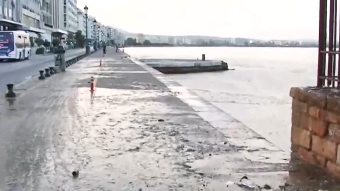 ВИДЕО Необична појава во Солун: Фитопланктонот „излезе“ на копно