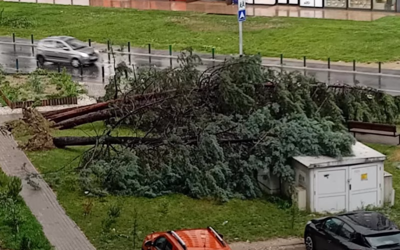 ФОТО+ВИДЕО Силно невреме го зафати Скопје: Ветер над 100 км/ч, леташе градежен материјал, паднати дрвја и откорнат кров