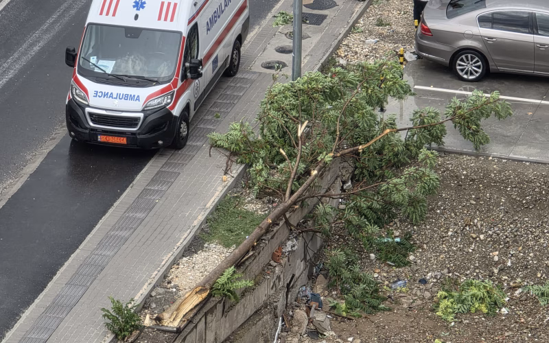 ВИДЕО Дрво падна врз човек и тешко го повреди во центарот на Скопје