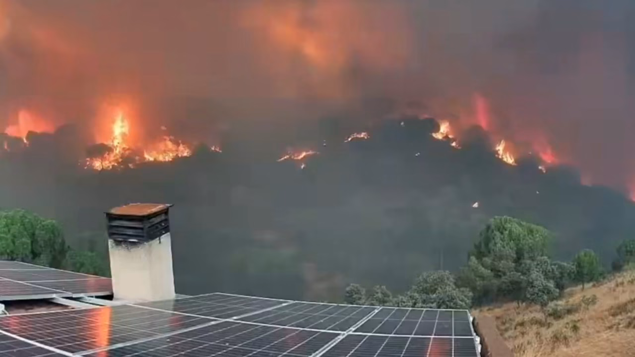 ВИДЕО Снимки во близина на Мадрид ја покажуваат неверојатната брзина на ширење на пожарот