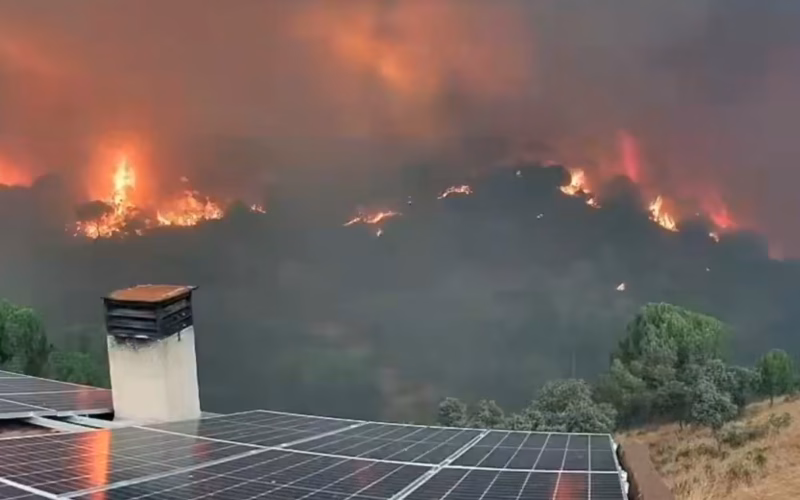 ВИДЕО Снимки во близина на Мадрид ја покажуваат неверојатната брзина на ширење на пожарот
