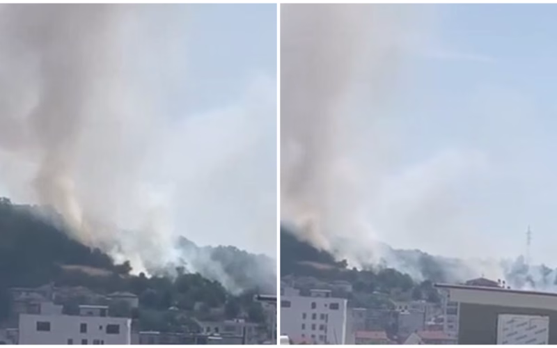 ФОТО Гори парк-шумата во Гази Баба, пожарникарите интервенираат на терен