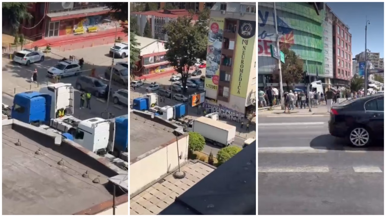Македонските превозници со камиони пред Делегацијата на ЕУ: Бараат решение за правилото 90/180