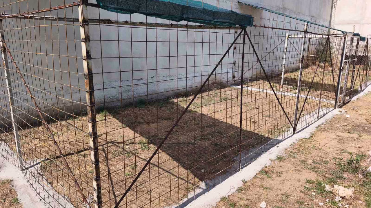 Затворениците во КПД Прилеп изработија нови боксови за службените кучиња
